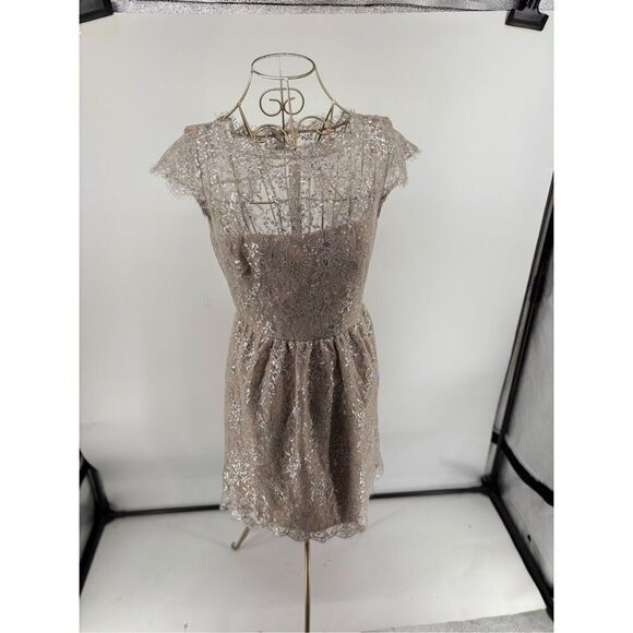 Aidan Mattox Metallic Lace Short Dress Size 2 Silver Blush Pockets Evening - Picture 1 of 12